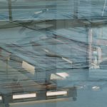 Secs and Death Cells