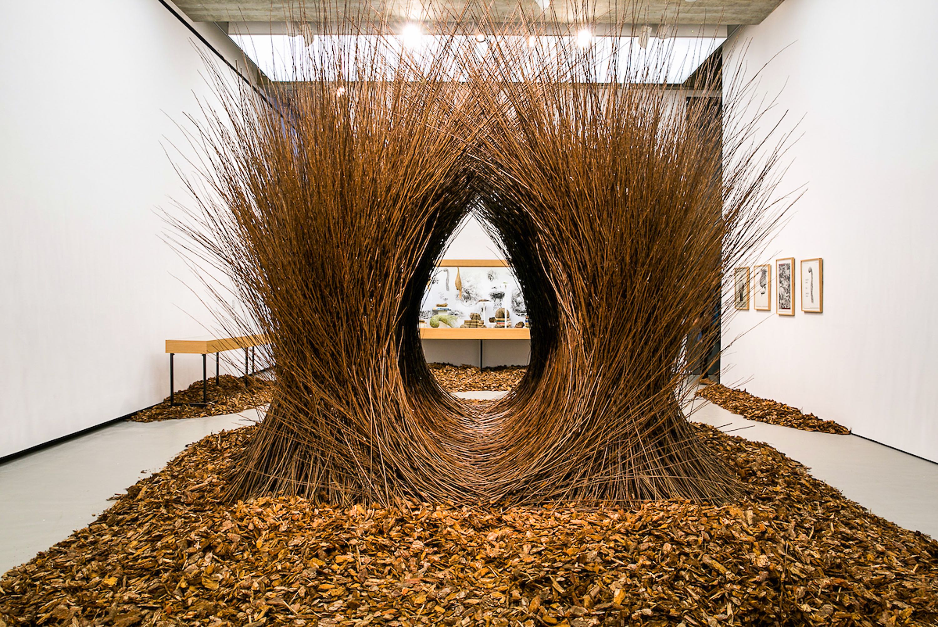 A large sculpture in a gallery. It is composed of twigs, branches and leaves forming the shape of a bower (an inverted arch)