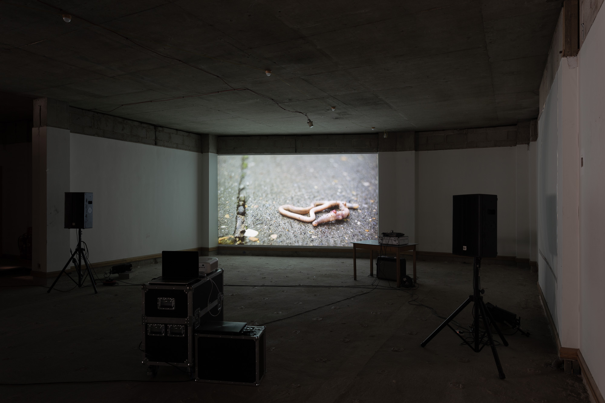 A view of a darkened room, with an artist's film projected on the back wall.