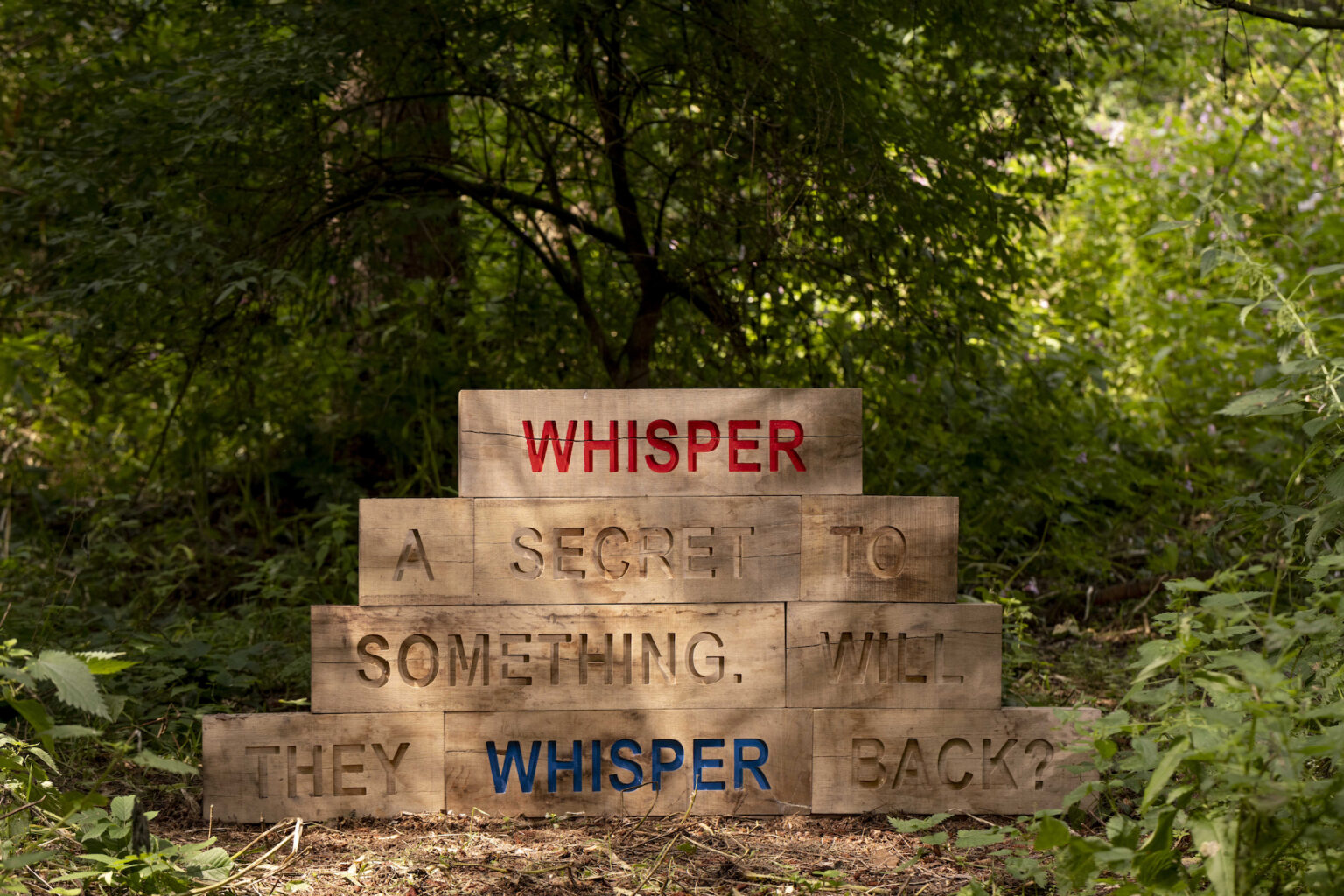 An image of wooden block engraved in upper case letters are arranged in a short stack. They say: 'Whisper a secret to something. See if they whisper back?'.