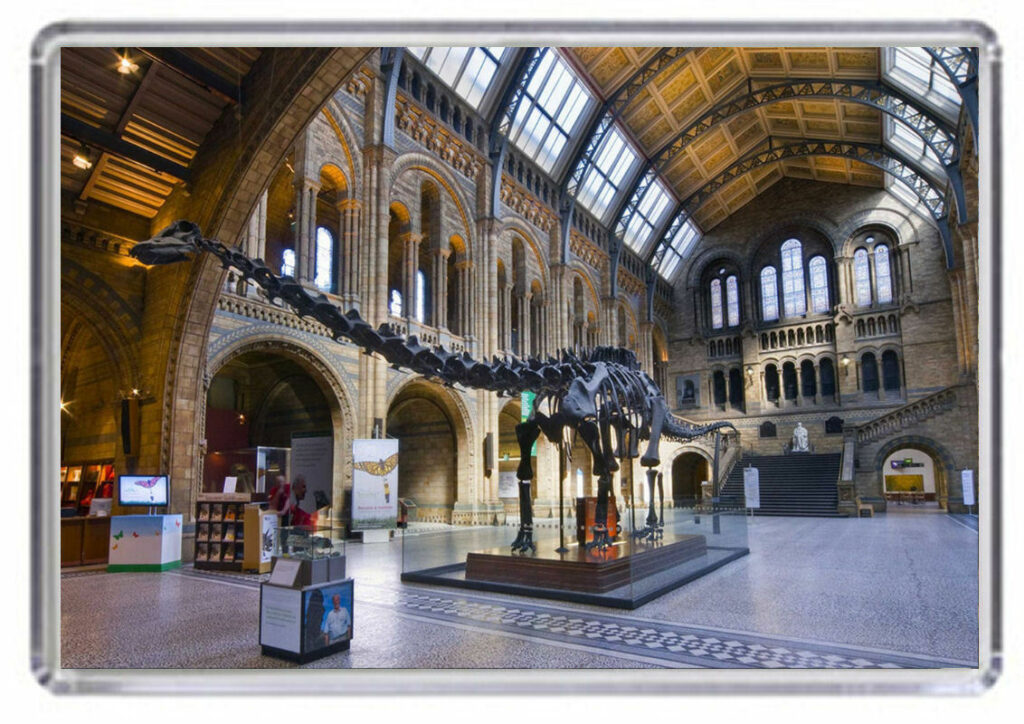 A magnet with a photo of a large dinosour skeleton in a musuem hall