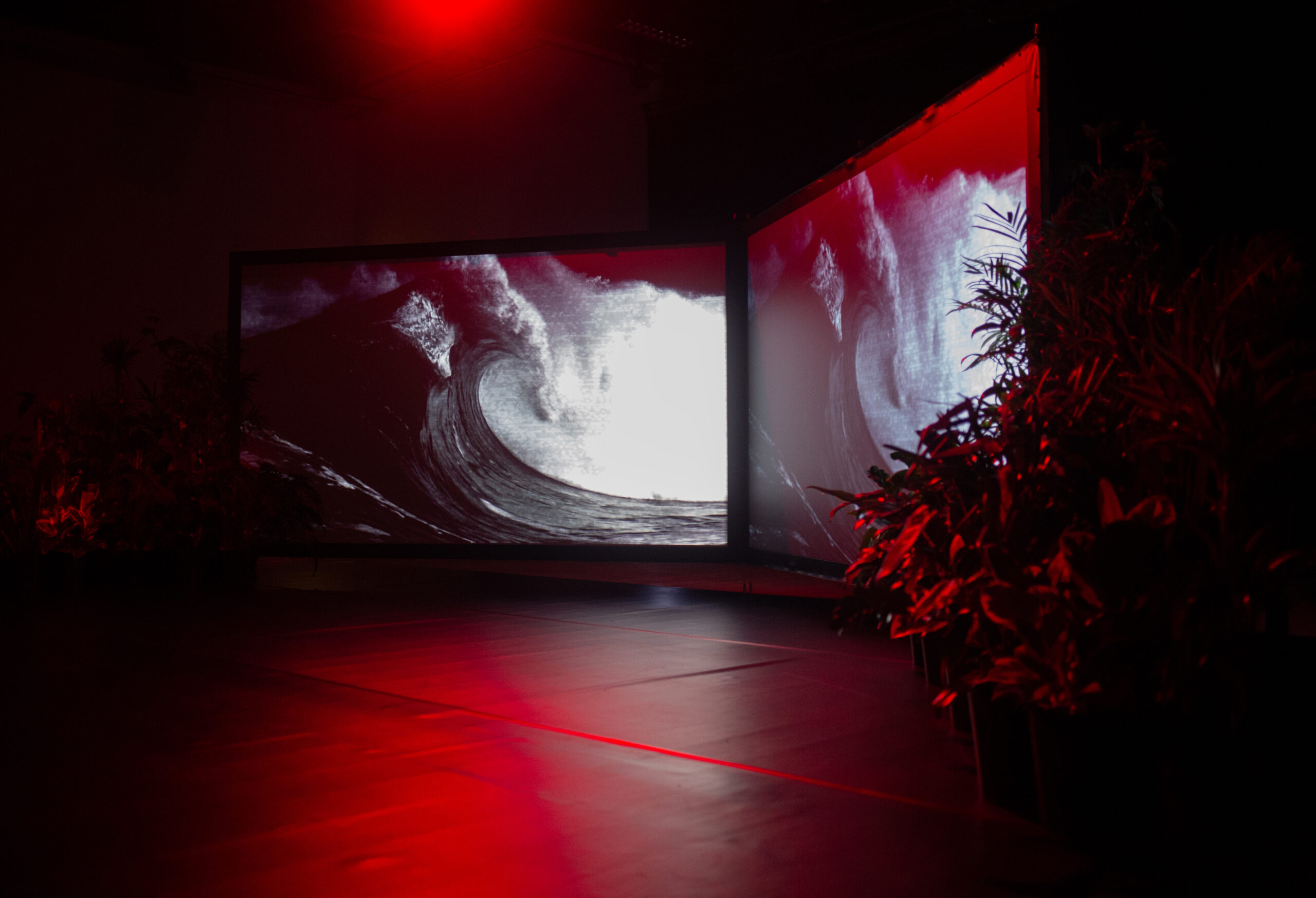 A photograph of two large screens displayed like an open book, in a darkened room, lit with soft red light. On the screens are black and white, grainy images of waves, curled and crashing. on either side of the screens are potted plants, the foliage is highlighted in the red light.