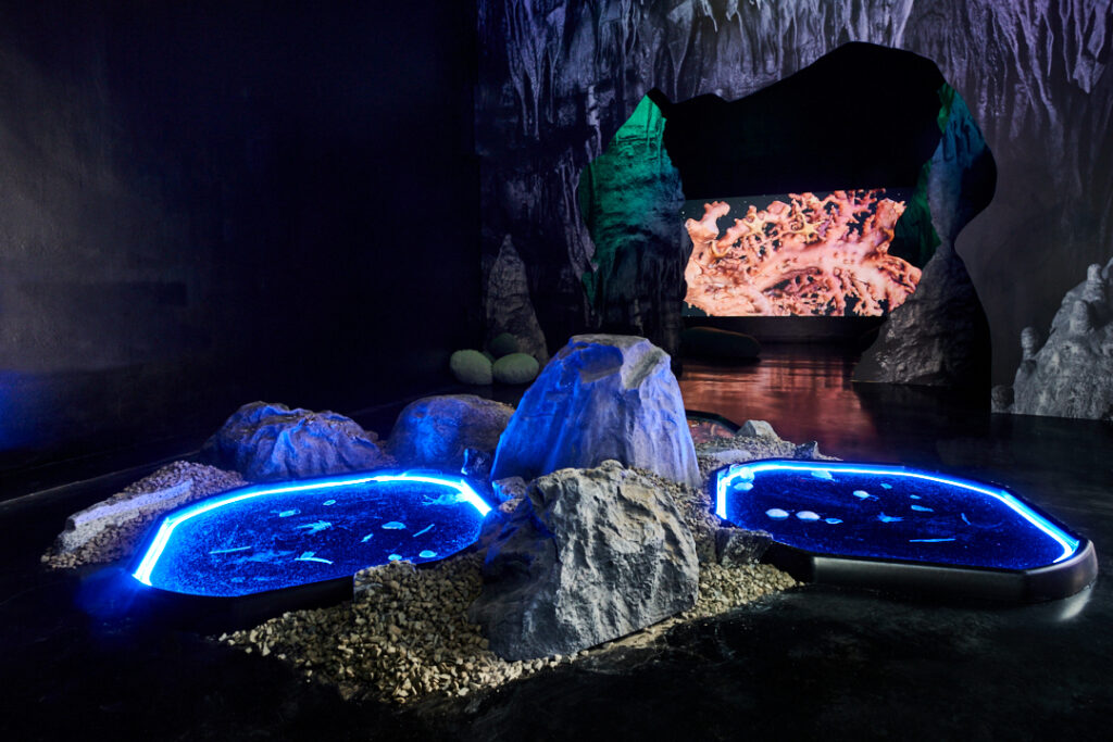 A dark cave with luminous blue rockpools and an orange creature in the background