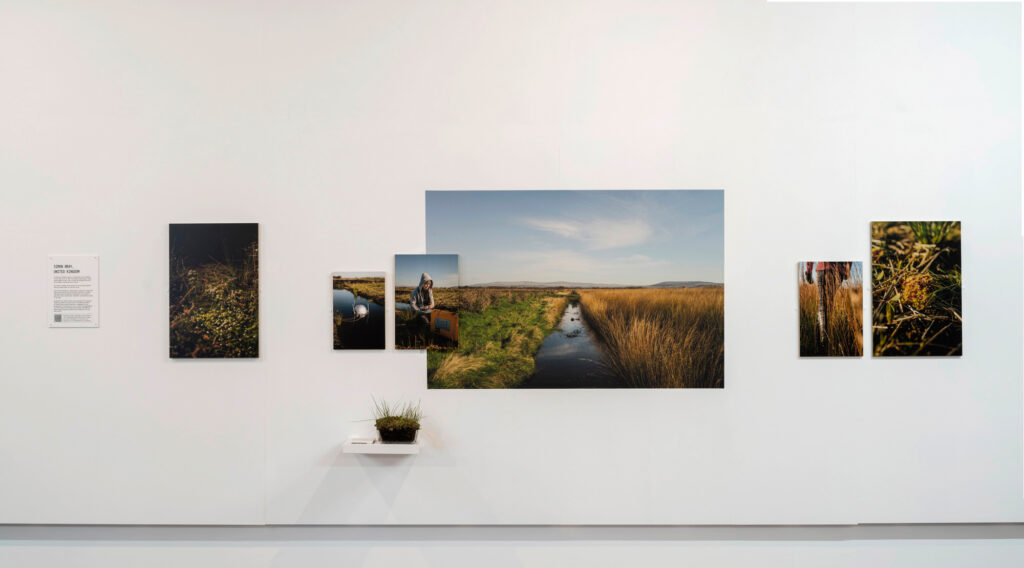 Photographs of natural sites hung on a white wall 