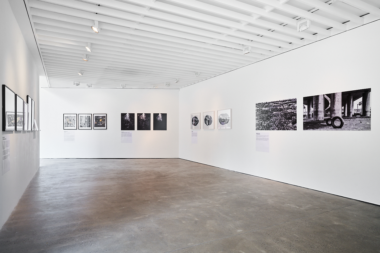 A white walled gallery with photographs hung in a line at eye level