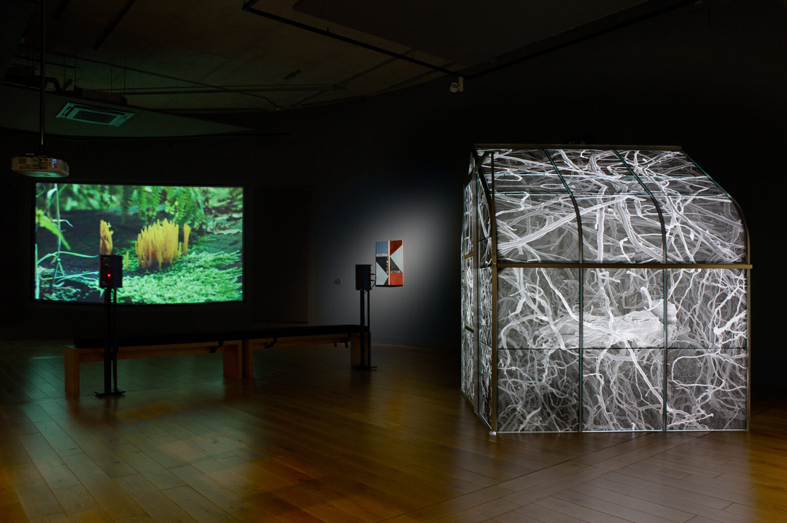 An exhibition space including, to the left, a green and yellow coloured film showing plant life, and to the right a to-scale greenhouse whose glass panes are covered with black and white images of layered lines or tubes.