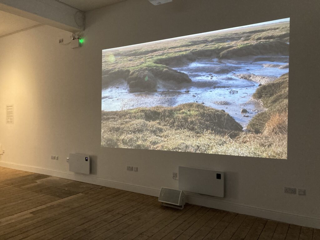 A white wall gallery with a film projected large onto the wall. It shows a river bed or pond between two grassy banks in the daytime.