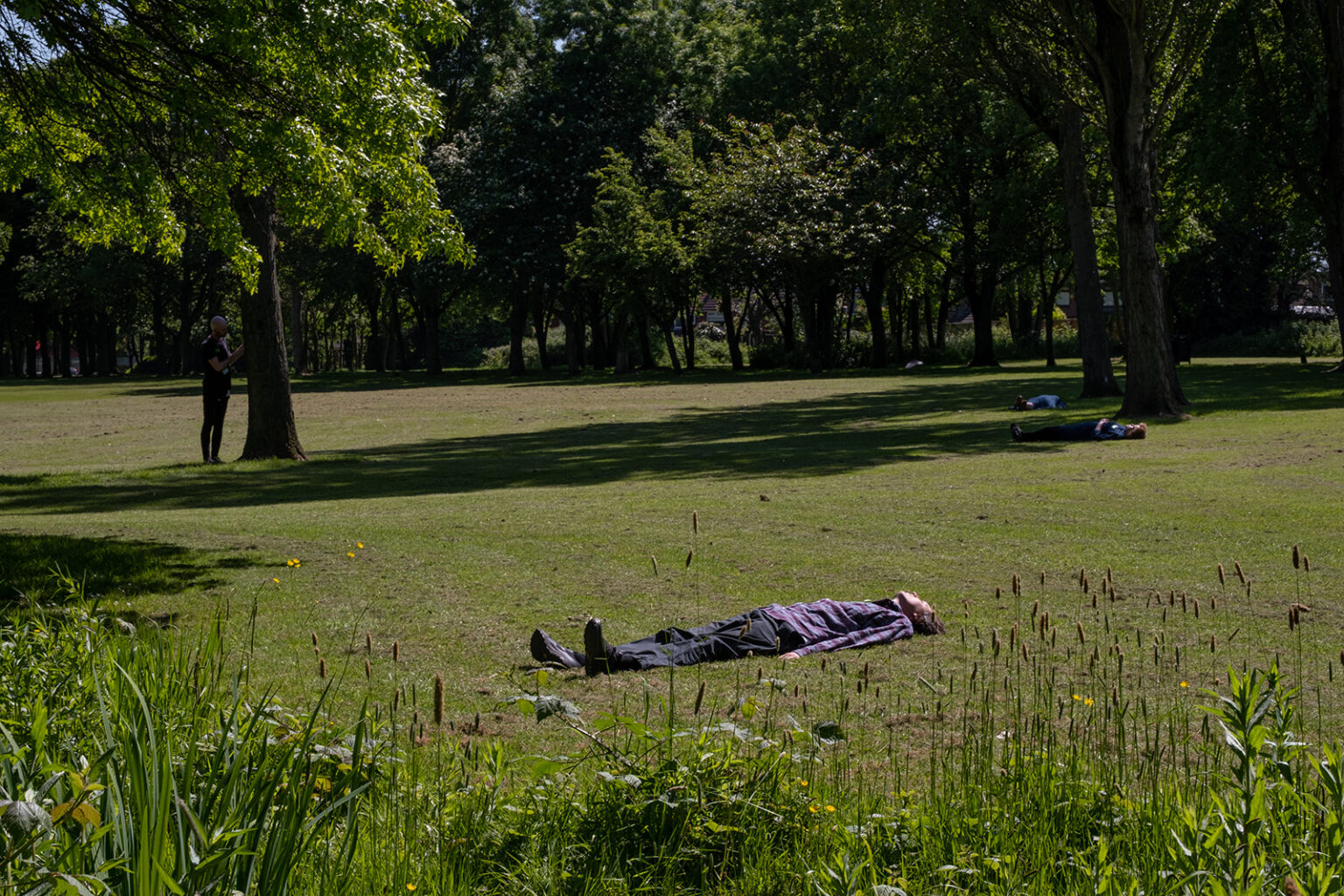 A photograph of a grassy clearing in a park with someone lying on the ground.