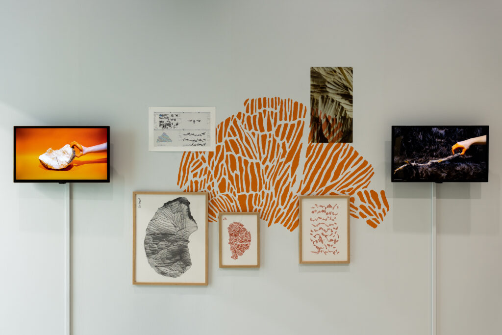 Two screens, mounted to the wall, show videos of hands interacting with fur and wood. Between them are prints in orange, black and white.