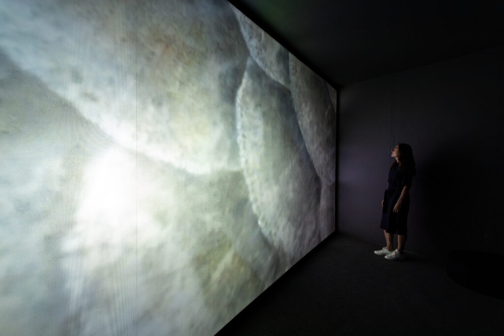 A person stands in front of a huge angled projection screen, which shows a close up that might be an animal, rock or ice melting.