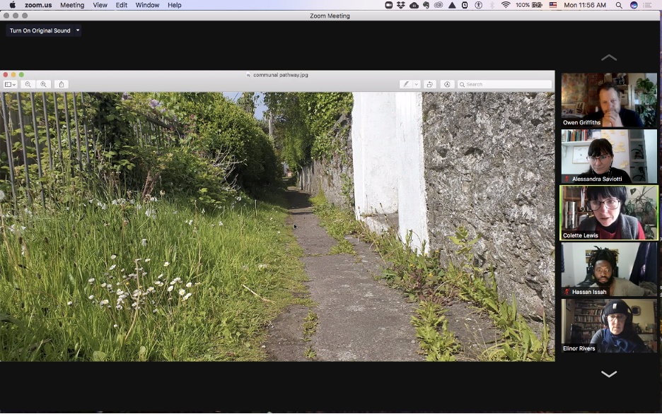 A screen shot of a zoom meeting, 5 people attending, with a shared screen of a path through weeds in Ireland.