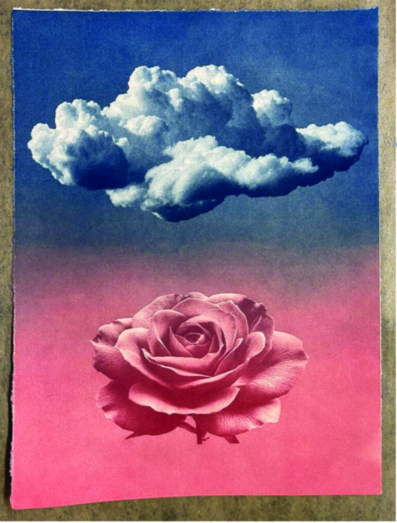 The top half is blue with a fluffy white cloud, the bottom half is pink with a blooming rose