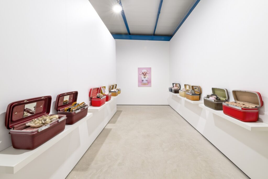A white room lined with two shelves of open toolboxes in maroon, red, khaki and mustart, with objects inside and a pink print on the back wall