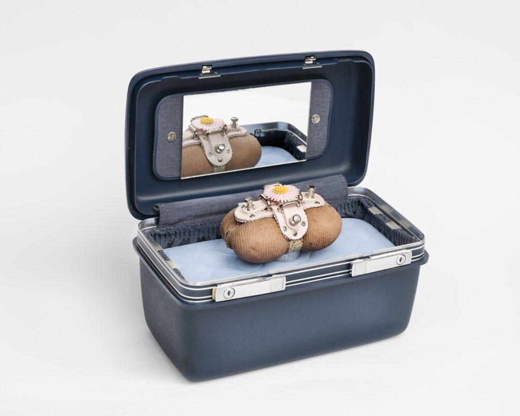 A blue case with a round object displayed inside, brown with a little white leather cross and flower on top