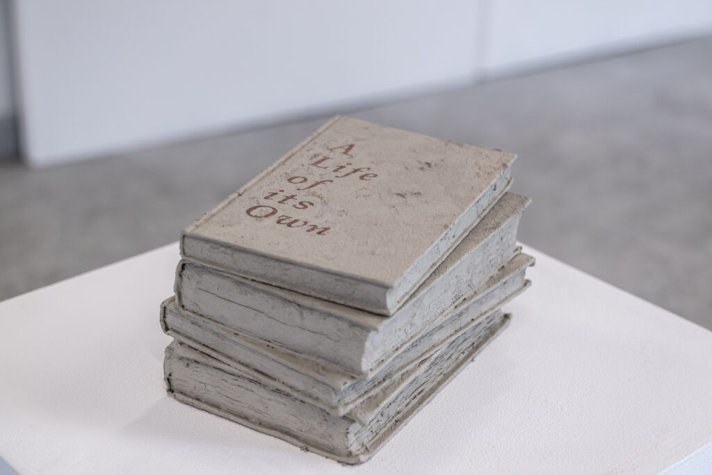 A pile of several books caked in grey clay on a white plinth. The cover of the top book reads: 'A Life of its Own'.