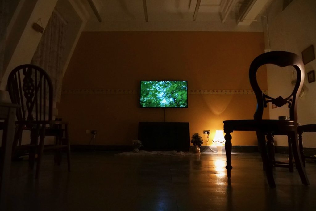 A dimly lit interior, a back wall painted orange with a tv monitor showing dappled light through tree leaves. In the foreground two victorian looking chairs.