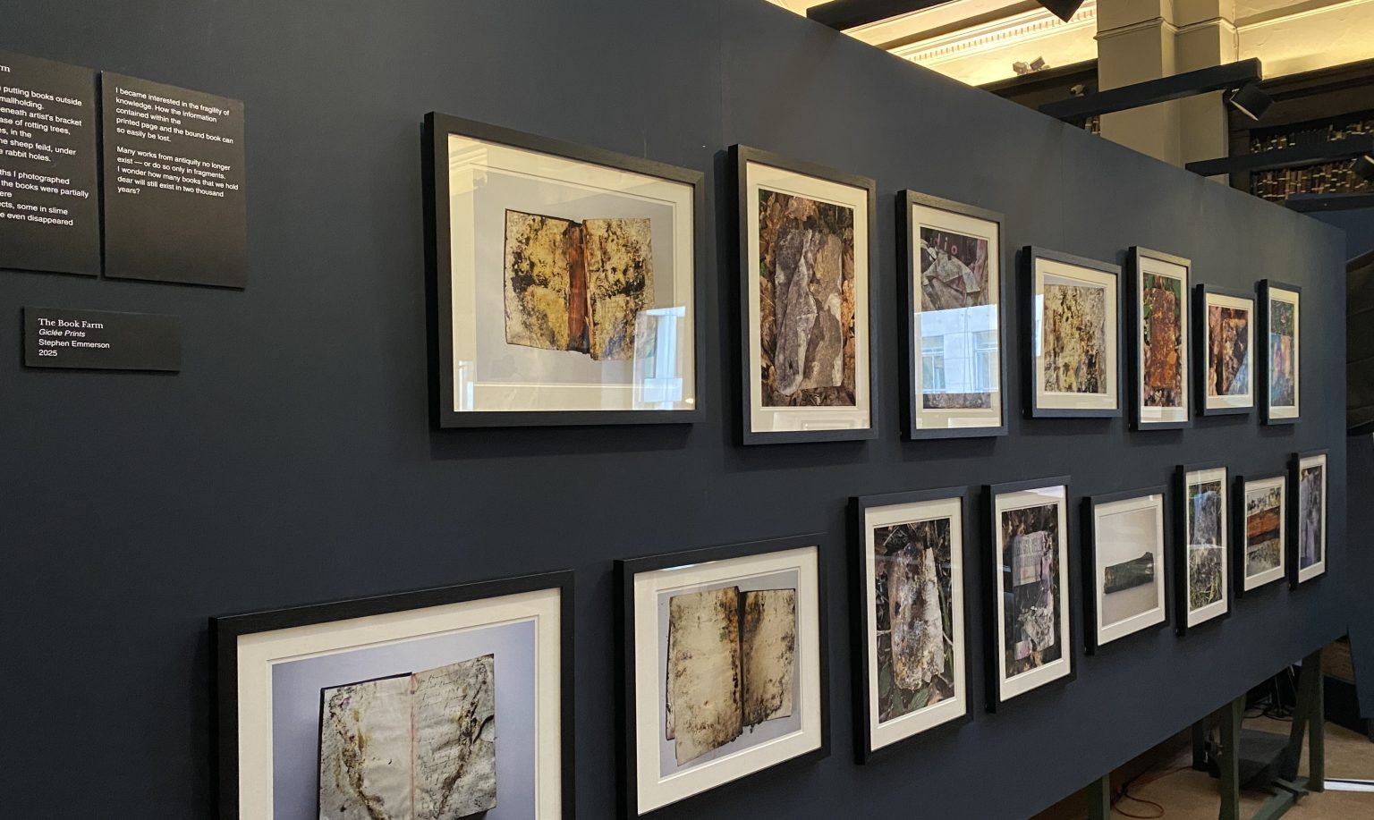 A dark blue wall with framed photographs of damaged books opened at pages