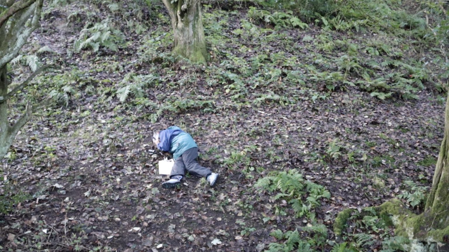 A widescreen still from a video. The scene is a woodland floor. A person in Blue outer jackets and black pants and grey trainers lies on the ground, on their side, hands covering their face. There is a bag or some other rectangular what object under their right leg.