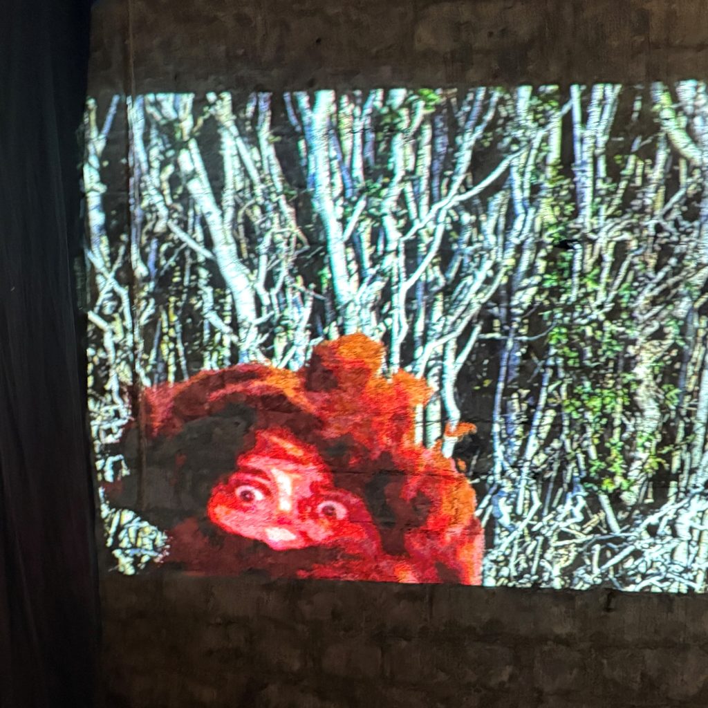 A moving image work projected onto a brick wall. The present image depicts a crimson human/oid face with red hair and red beard against the tangled branches of a hedgerow.