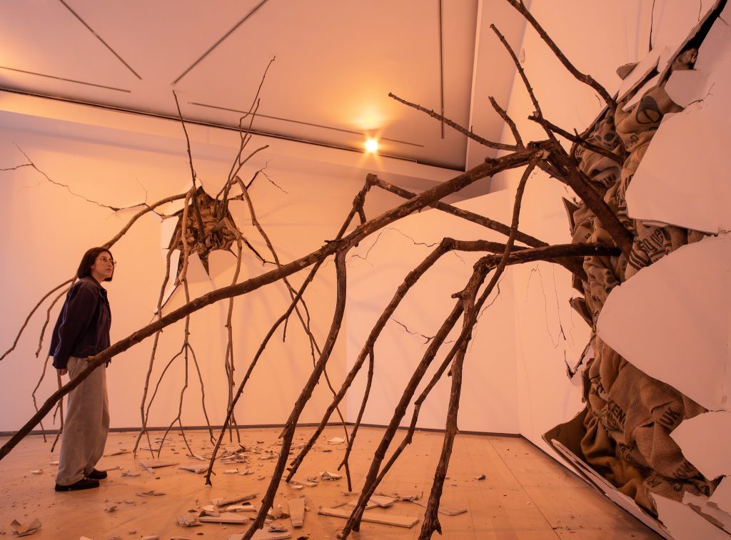 A white wall gallery space where branches are growing through cracks in the walls