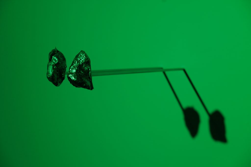 Small metallic sculptures in the shape of oyster shells, jut out of the wall about 1ft, lit in fluorescent green light