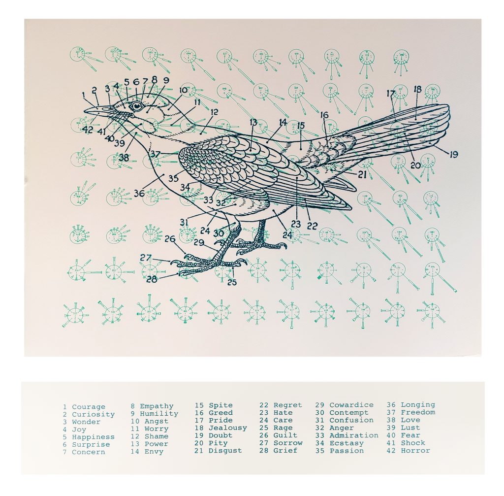 An diagram of a bird with many numbers pointing to different parts and a key of words underneath
