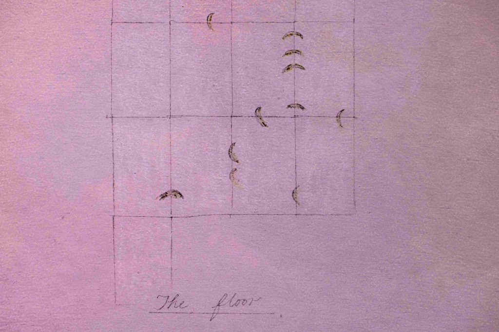 A pencil drawing of the floor and an arrangement of small shapes across its surface