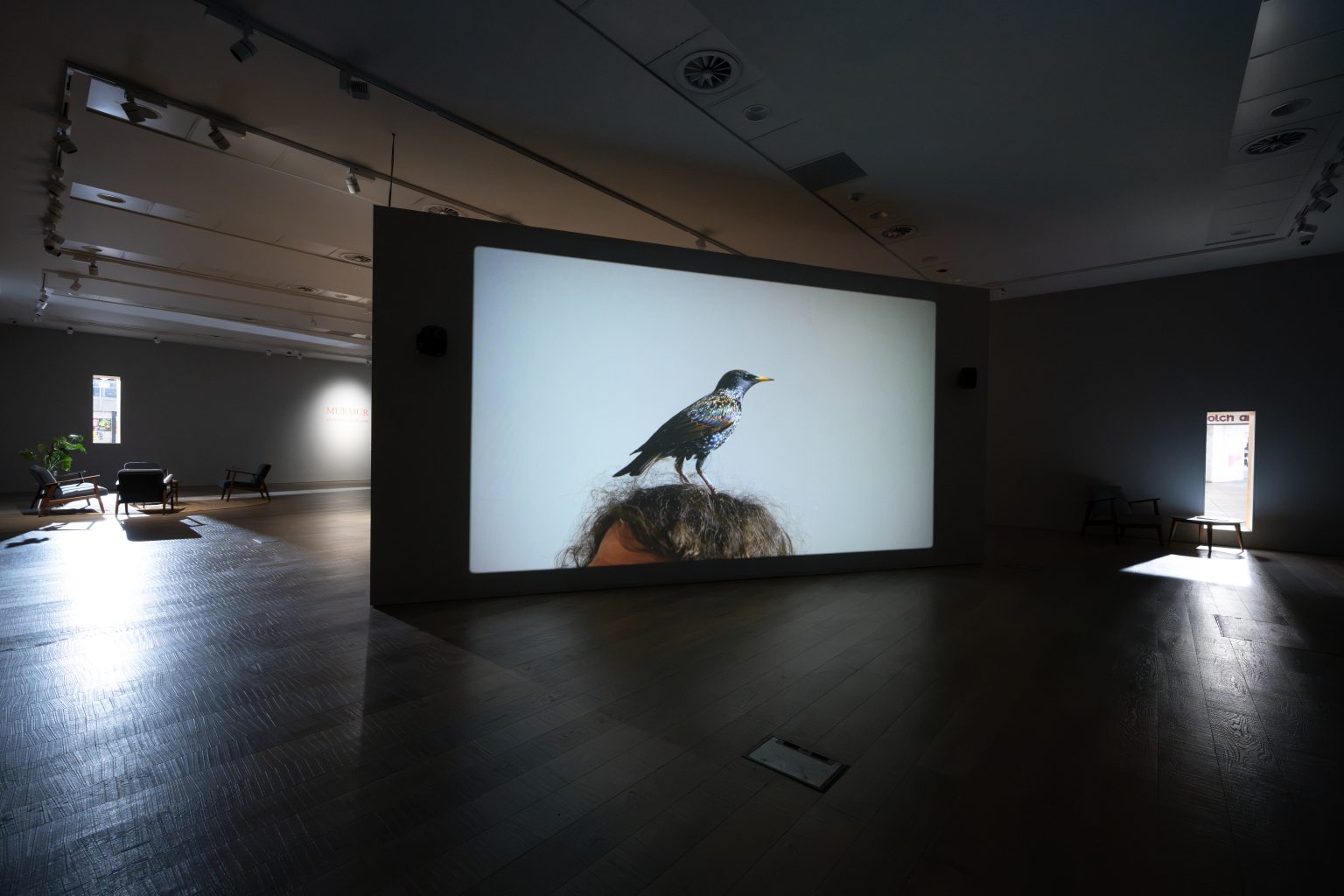 Film still depicting a starling perched a top a man's head.