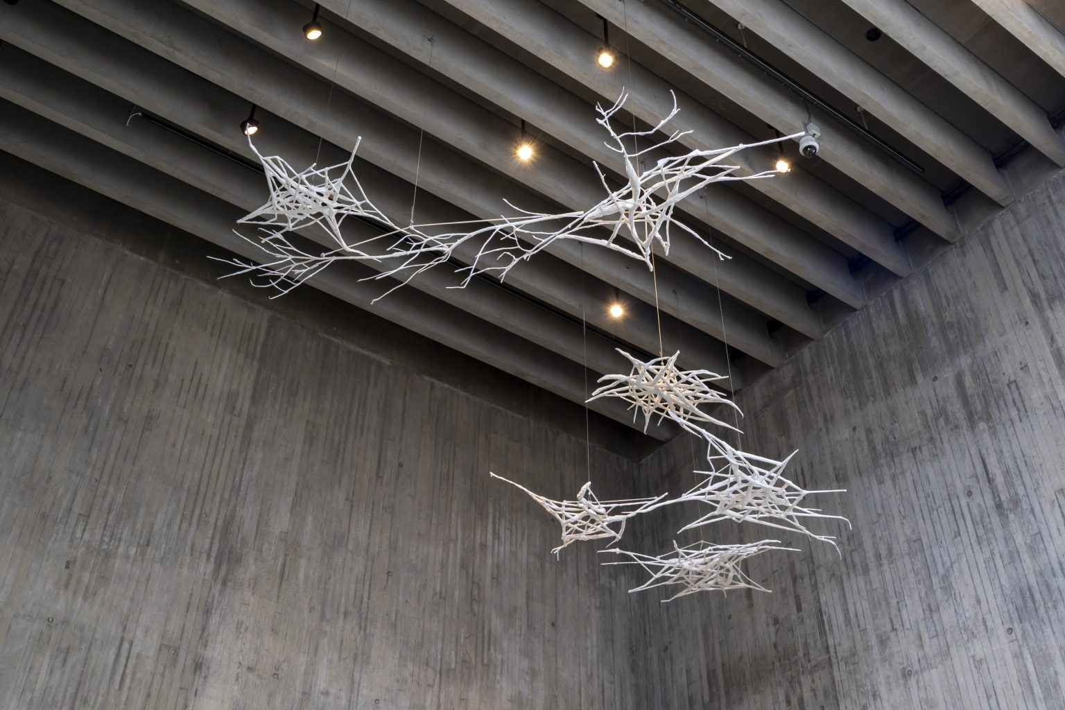 A large, white, spindly sculpture hangs from a concrete gallery ceiling, looking like branches of a tree