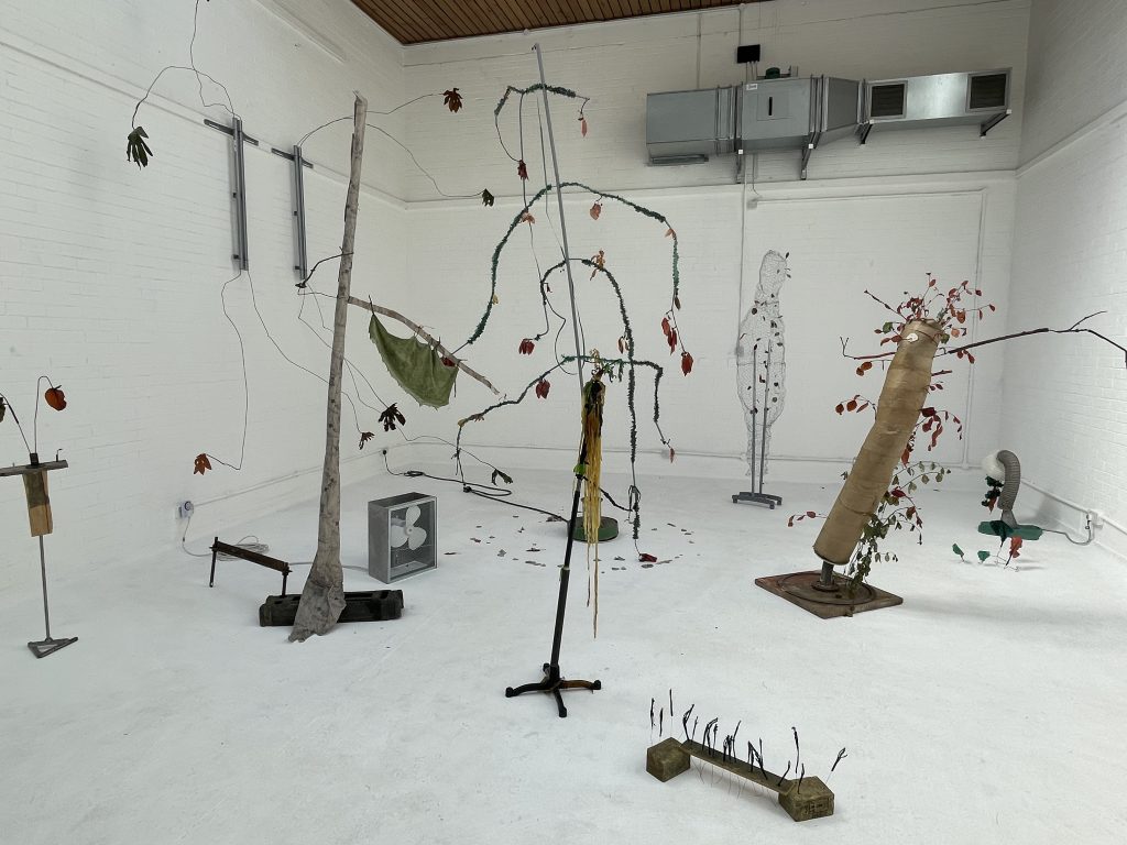 A space with white walls and white floor. An installation of 6 or more sculptures. Tree like forms.
