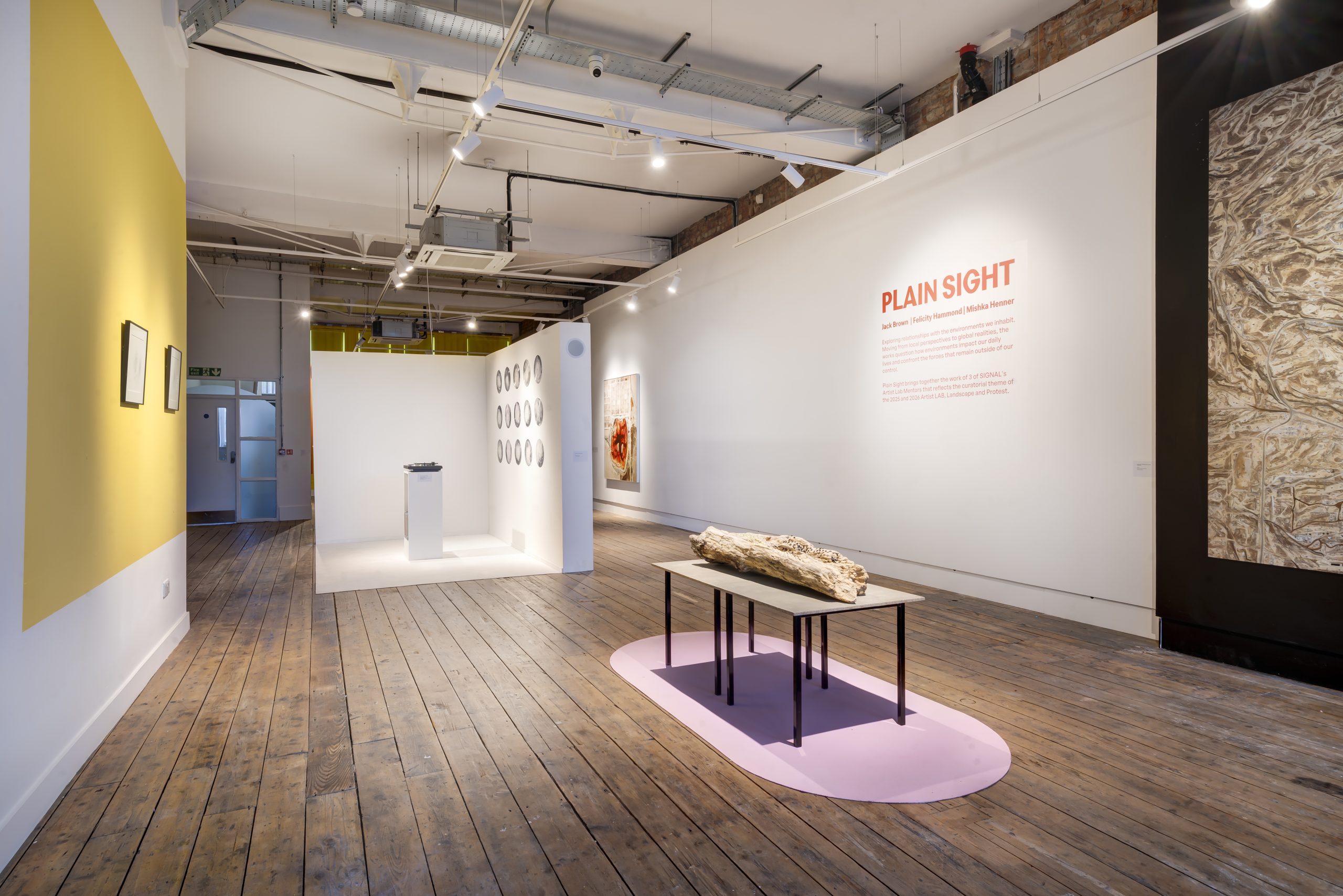 A wide view of the gallery with title and text on one white wall to the right and in the centre of the room a low, brightly lit table with a large piece of driftwood